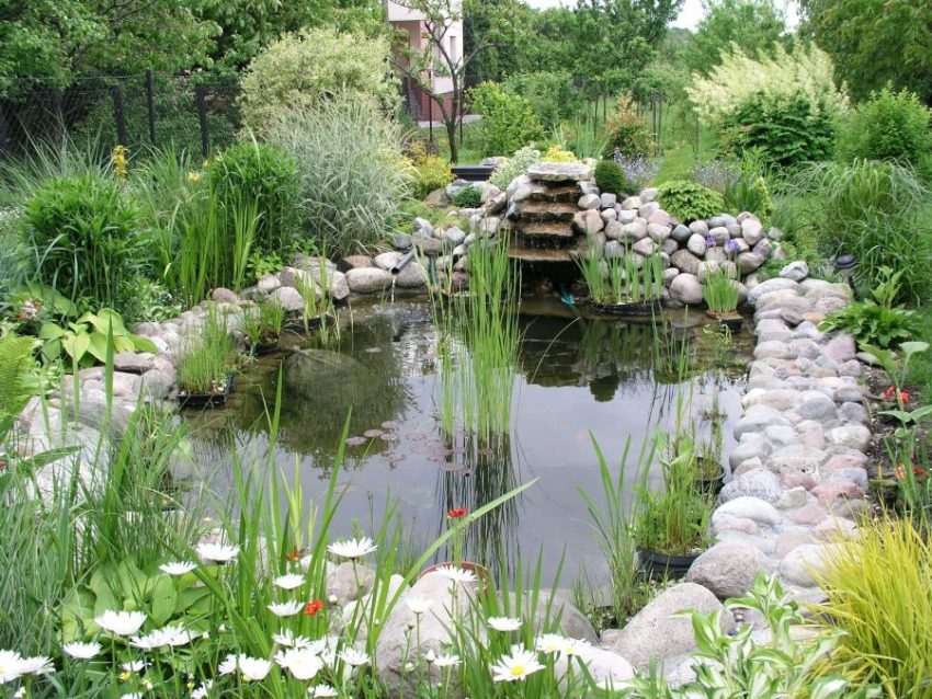 Garden Classic Style Ideas With Stone Decor Fish Pond Unique Small Water Fall Ideas Green Planting Flower Growth Tree And Iron Fence Ideas For Garden  Garden with Koi Fishpond with Colorful Pattern