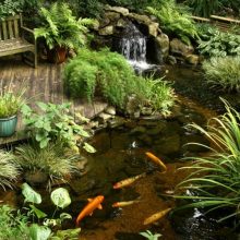 Garden Thumbnail size Cool Vintage Decor For Garden With Fish Pond Ideas Green Palnt Flower Growth Small Water Fall Ideas Fish Vintage Wooden Sitting Area Wooden Deck And Stone For Interior Ideas
