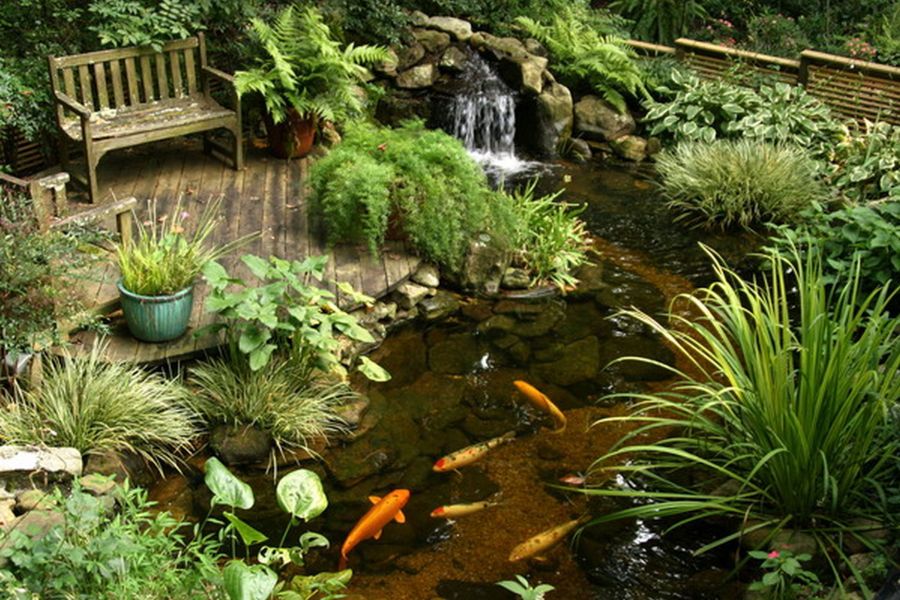 Cool Vintage Decor For Garden With Fish Pond Ideas Green Palnt Flower Growth Small Water Fall Ideas Fish Vintage Wooden Sitting Area Wooden Deck And Stone For Interior Ideas Garden