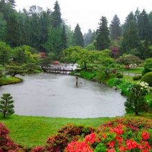 Garden Thumbnail size Cozy Inside Home Garden With Seatle Japanese Style Ideas Small Lake Lighting Green Planting Several Flower Growth Color Ideas For Landscaping Home Patio 