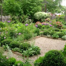 Garden Thumbnail size Garden Back Home Ideas With Awesome Landscaping Several Flower Purple Red White Pink Color Simple Fence And Tree For Backyard Ideas