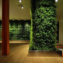 Garden Thumbnail size Installing Lighting Indoor Home Garden Ideas With Lovely Lighting Ideas Small Indoor With Laminated Wooden Flooring Ideas Green Plant For New Concept Indoor Modern House