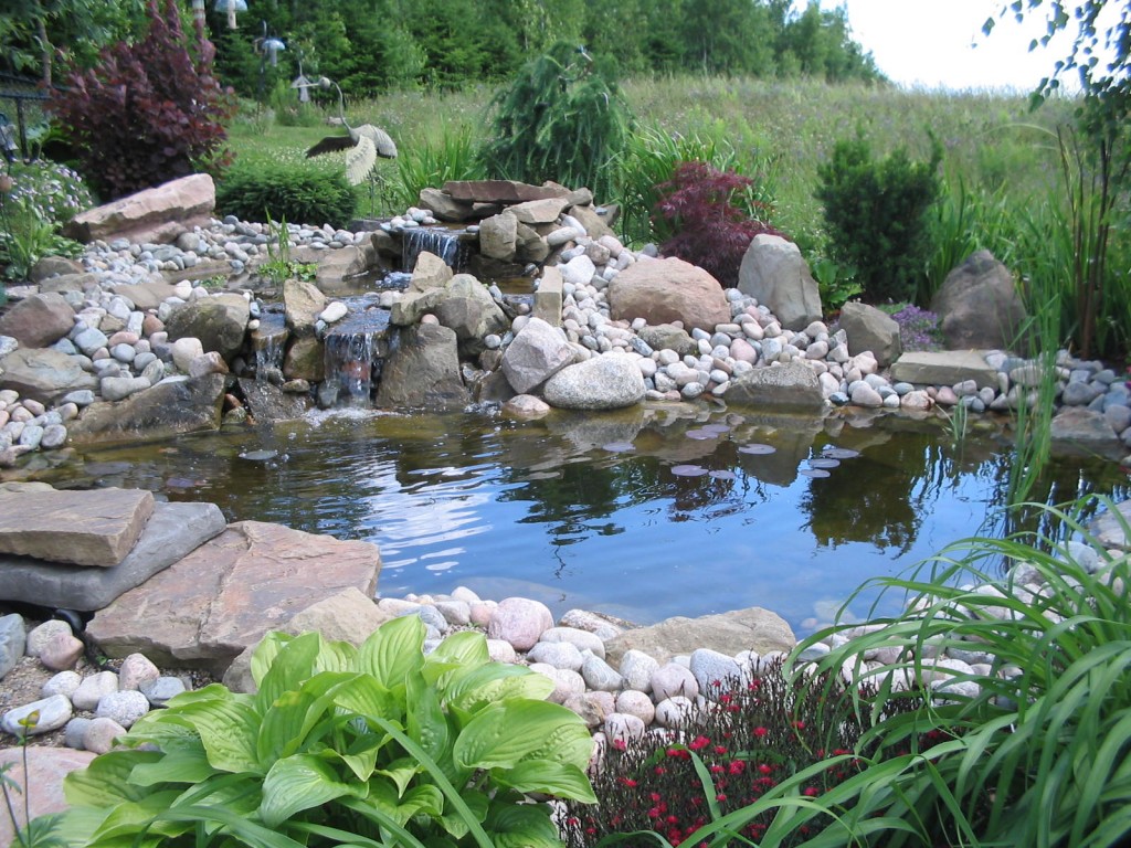 Large Garden Space For Vintage Decor Fish Decor Ideas With Cool Water Natural Stone Grass Green Plant And Vintage Interior Fish Pond For Backyard And Frontyard Ideas Garden