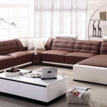 Furniture + Accessories Thumbnail size Luxury Brown And White Color Ideas For Modern Living Room Design With Contemporary Sofa Leather Furniture White Table Laptop Magazine Several Accessories Best Wall Stained Floor Ideas