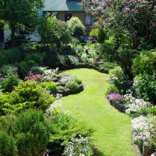 Garden Thumbnail size Marvelous View With Small Garden House With Several Green Plant Ideas Tree Flower Growth With Varian Color Pink White Purple And Grass For Best Ideas And Simple Landscaping For Design Ideas