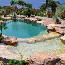 Pool Design Thumbnail size Natural Swimming Pool Design Ideas With Good View Several Plant Pure Water Amazing Pool Design Clear Sky For Feel Fresh 