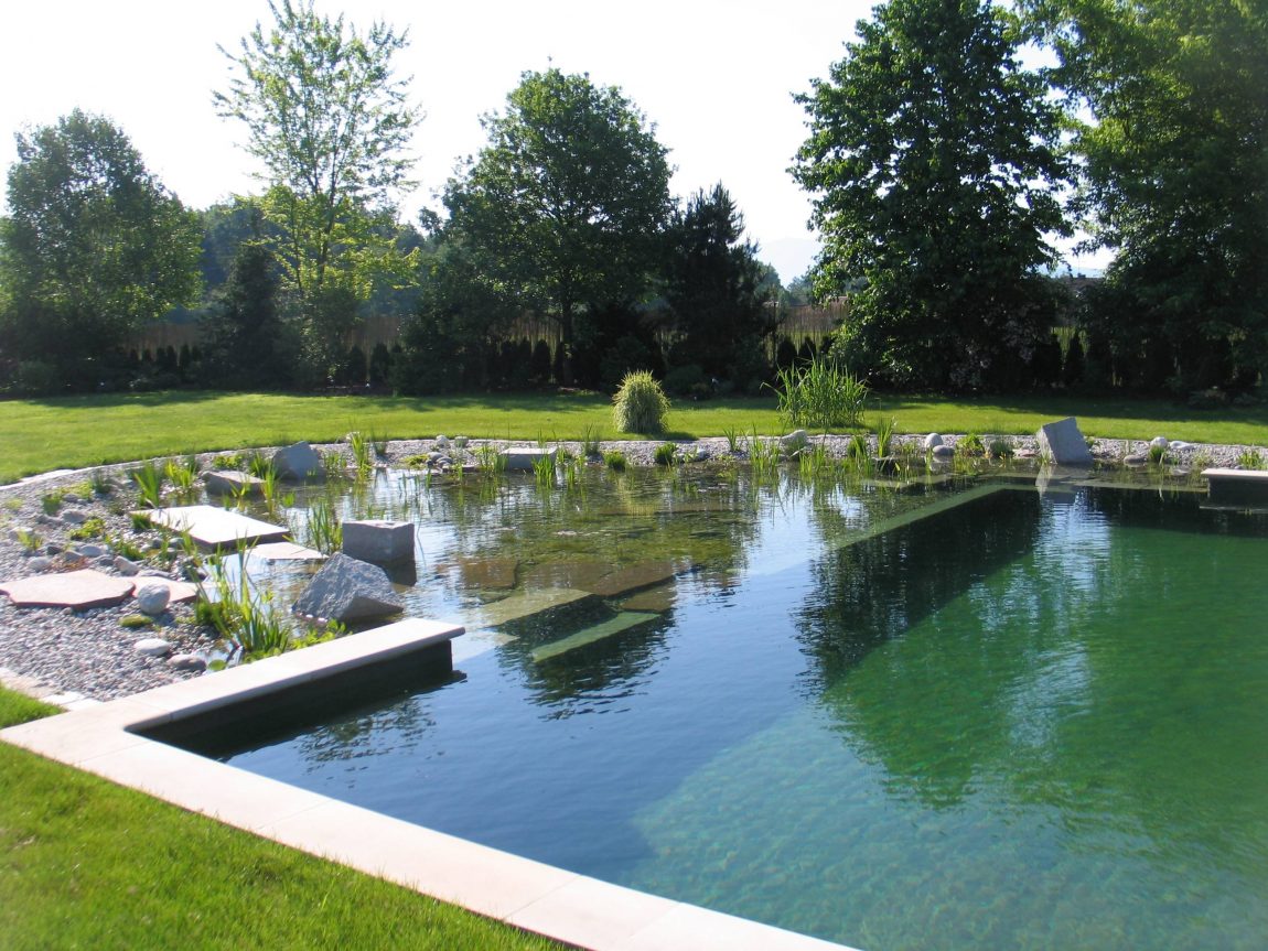 Pool Design Large-size Natural Swimming Pool Design Ideas With Traditional Concept Design Stone Tree Grass Pure Water Clear Sky And Fresh View For Exterior Pool Ideas Pool Design