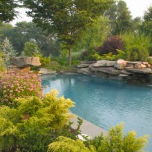 Pool Design Natural Swimming Pool Design Ideas With Good View Several Plant Pure Water Amazing Pool Design Clear Sky For Feel Fresh  Get Feel Fresh with Natural Swimming Pool