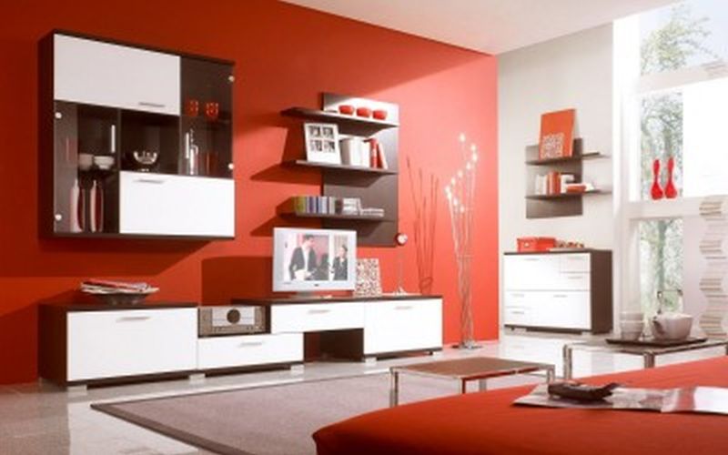 Paint Wall Color Living Room Ideas With Red Combine Red Color Small Wall Storage Book Picture Tv Screen Several Accessories Simple Fur Rug White Stained Flooring And Other Thing For Interior Design Living Room