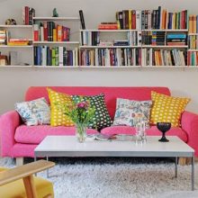 Furniture + Accessories Thumbnail size Apartment Interior Eye Catching Colorful Cushion As Well As Pink Sofa Idea In White Apartment Nuance Escorted By Bookshelves As Well As Table On White Fur Rug Also Wood Chair