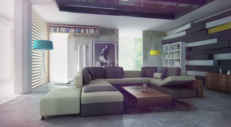 Apartment Bizkitfan Sectional Sofa Best Living Room Decoration Using Black And White Zebra Living Room Rug Including Black And White Houndstooth Design Ideas Inspiring All-In-One-Room Apartment