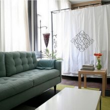 Living Room Thumbnail size Multi Color Sofa Soft Green Sofa Color Modern White Curtain Simple Window Ideas Small Wooden Table For Vase Flower Table Fur Rug Best Flooring And Bedroom Inside Minimalist Living Apartment