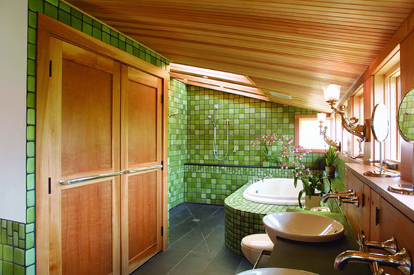 Bathroom Bathroom Renovation Wooden Door Green Backtiles Terrific Bathroom Renovation Ideas