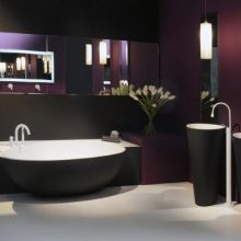Bathroom Black Egg Shaped Bathtub White Floor Long Mirror Purple Wall wooden-floor-white-bathtub-steel-faucet-white-wall1-915x814