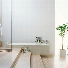 Bathroom Thumbnail size Charming Bathroom Fixtures Ornamental Plants Ideas Porcelain Pot White Walls
