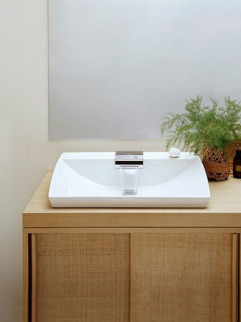 Minimalist Bathroom Fixtures Wooden Cabinets Ideas White Sink Faucet Indoor Plant Bathroom