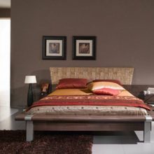 Bedroom Brown Rugs Modern Design Bed Pictures Brown Closet Big-mirror-closet-Brown-drawer-Brown-bed-Red-bed-cover